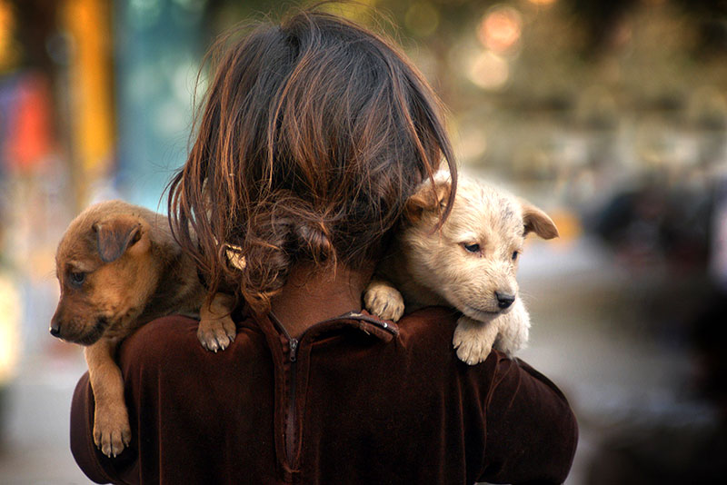 Prakash Hatvalne- Girl with puppies